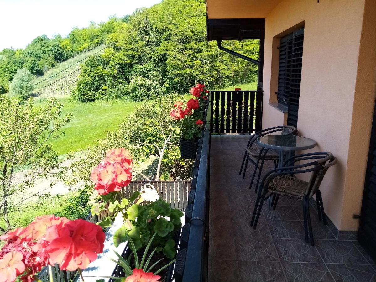 Apartman Potocki Krapina Luaran gambar