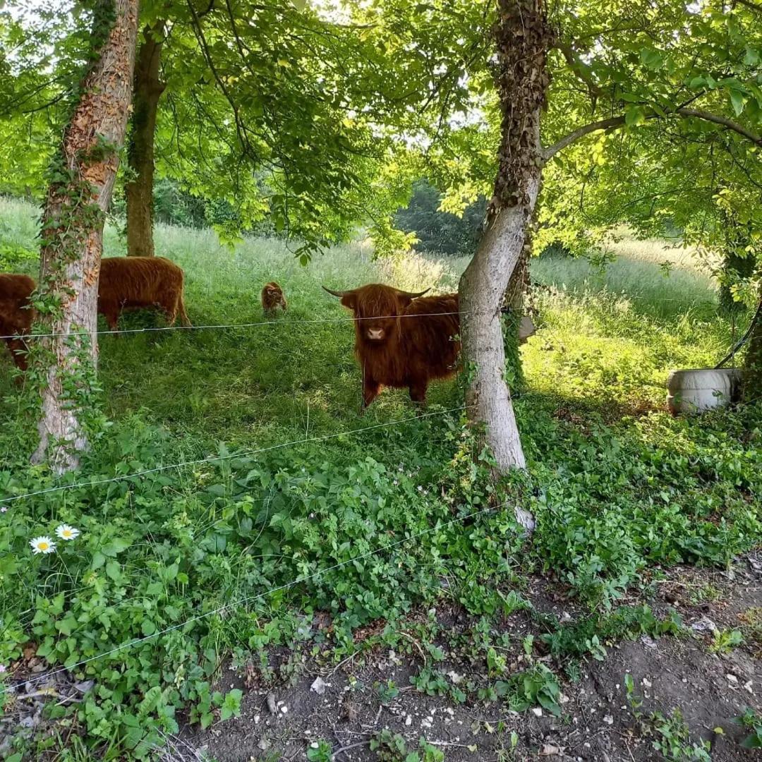 Apartman Potocki Krapina Luaran gambar