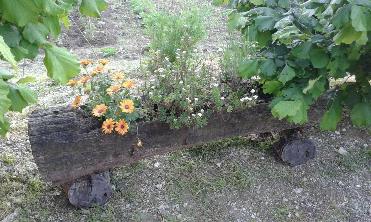 Apartman Potocki Krapina Luaran gambar