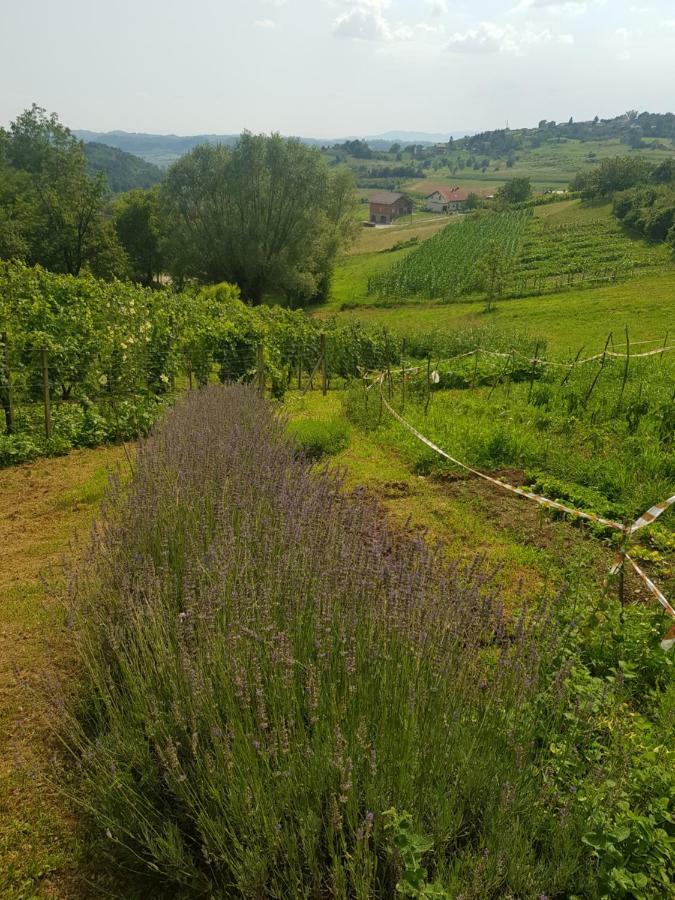 Apartman Potocki Krapina Luaran gambar