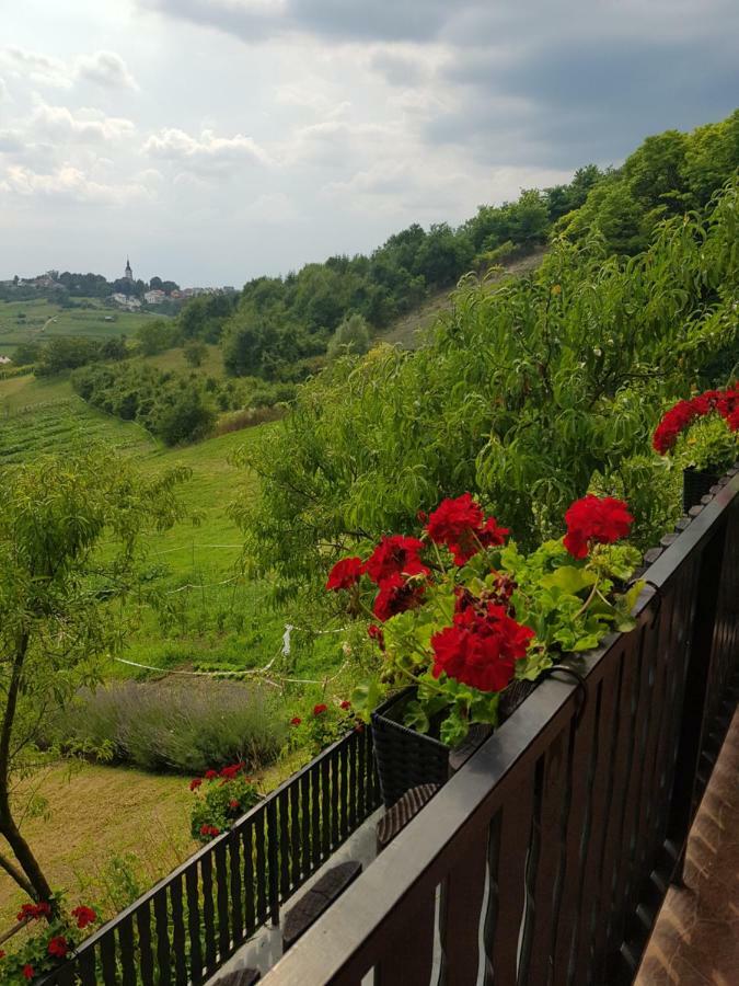 Apartman Potocki Krapina Luaran gambar