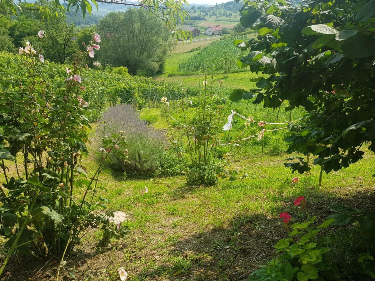 Apartman Potocki Krapina Luaran gambar