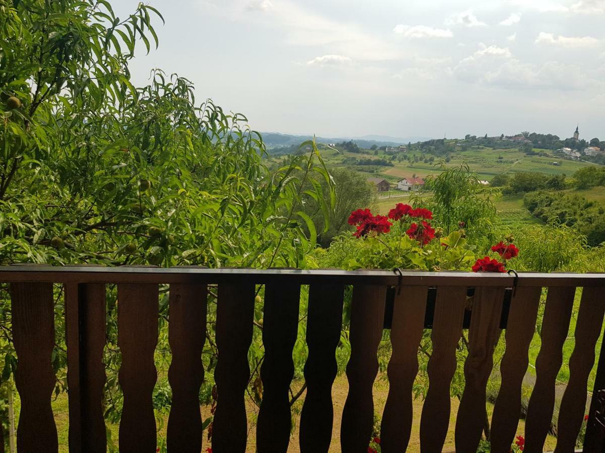 Apartman Potocki Krapina Luaran gambar