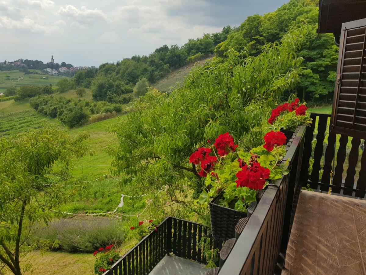 Apartman Potocki Krapina Luaran gambar